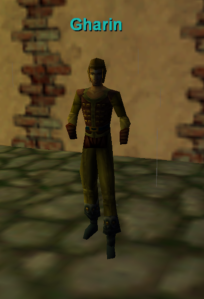File:Npc gharin.png