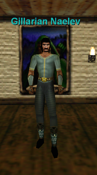 File:Npc gillarian naelev.png