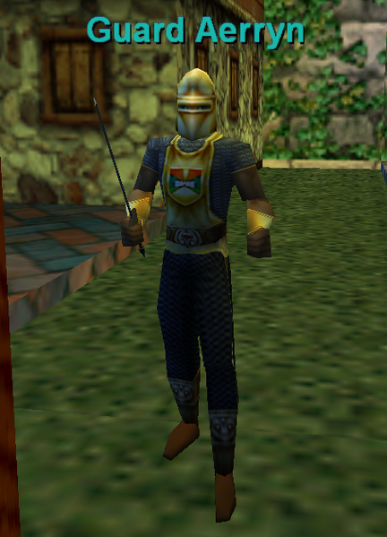File:Npc guard aerryn.png
