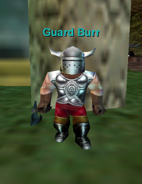 File:Npc guard burr.png