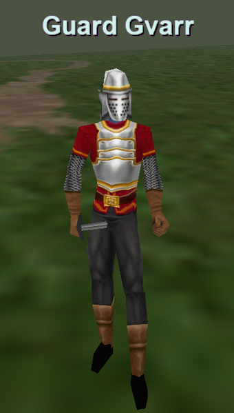 File:Npc guard gvarr.png
