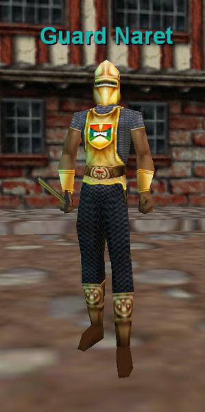 File:Npc guard naret.png