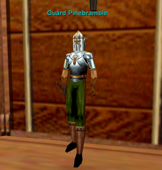File:Npc guard pinebramble.png