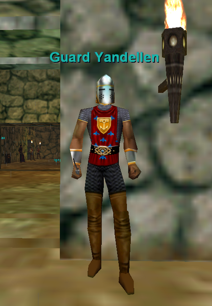 File:Npc guard yandellen.png
