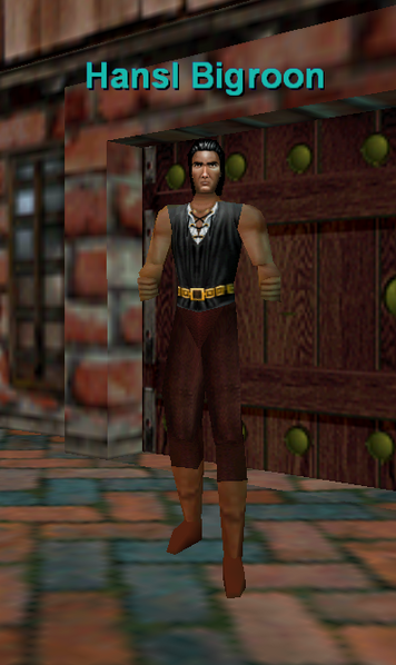 File:Npc hansl bigroon.png