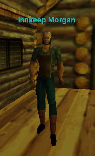 File:Npc innkeep morgan.png