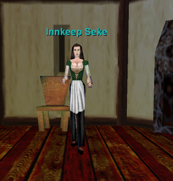 File:Npc innkeep seke.png