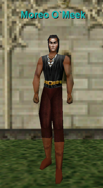 File:Npc moreo o`meek.png