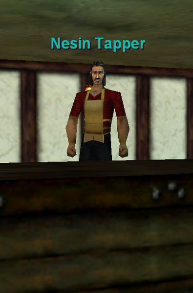 File:Npc nesin tapper.png
