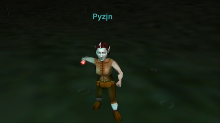 Pyzjn