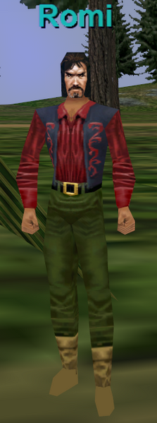 File:Npc romi.png