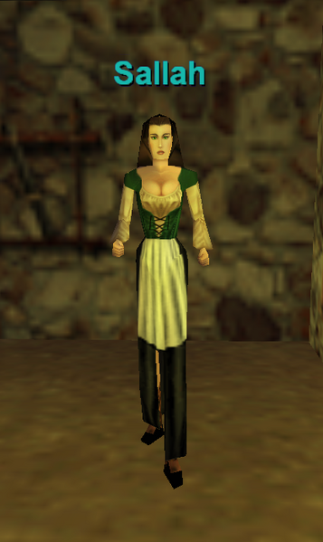 File:Npc sallah.png