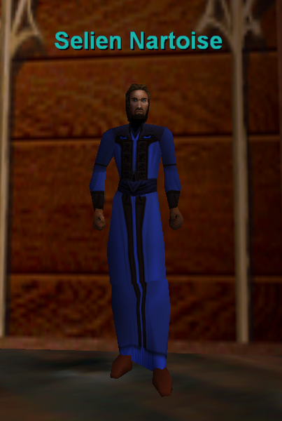 File:Npc selien nartoise.png