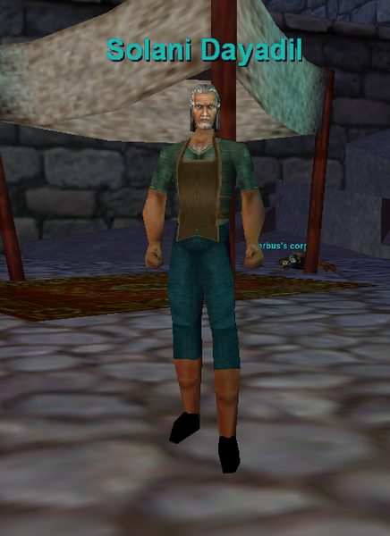 File:Npc solani dayadil.png