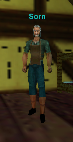 File:Npc sorn.png