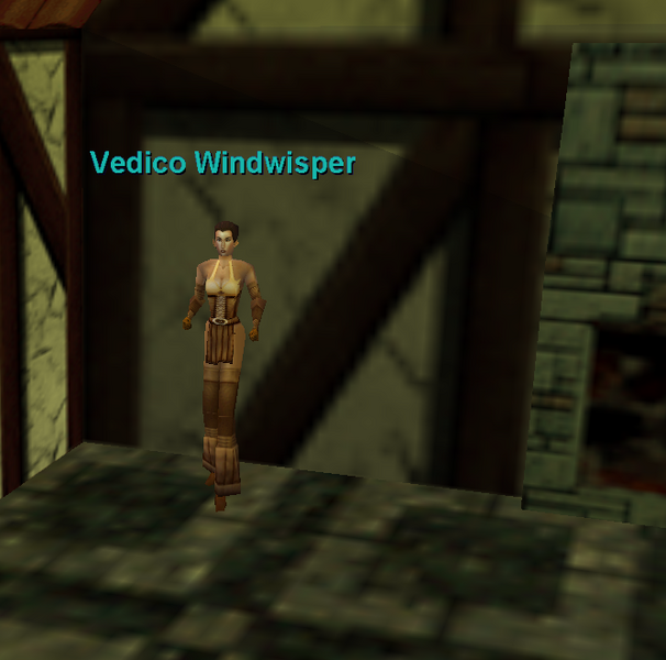 File:Npc vedico windwhisper.png
