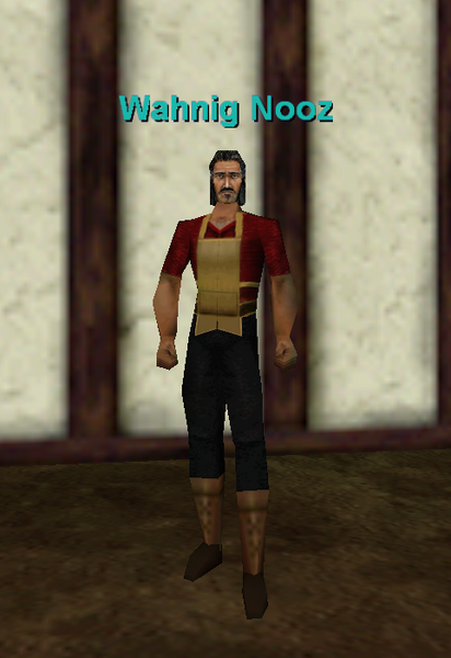 File:Npc wahnig nooz.png