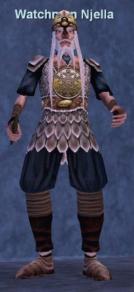 File:Npc watchman njella.png