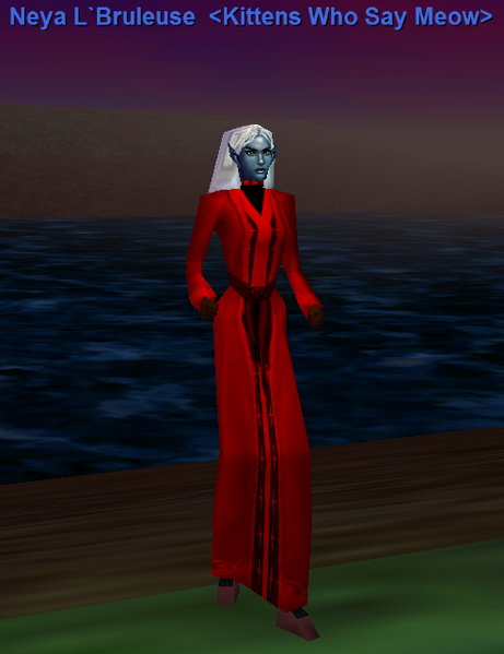File:Plasmatic priest robe.png