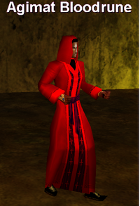 Sorcerer's Robe (Erudite Male)