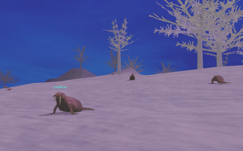 File:Walrus Field.png