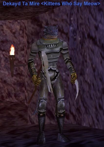 File:Wyvern Hide Tunic.jpg